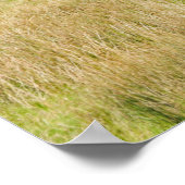 Coniston Water Postcard Kissen Poster (Ecke)