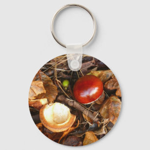 Conker-und Samen-Kasten-Schlüsselanhänger Schlüsselanhänger