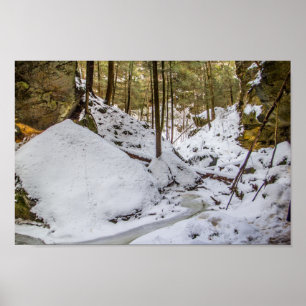 Conkle's Hollow im Winter Poster