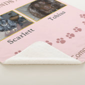 Connected by Pawprints Tribute Sherpadecke (3/4)