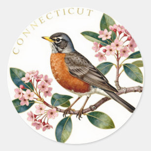 Connecticut Amerikanische Rotdrossel Staat Vogel B Runder Aufkleber
