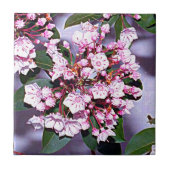 Connecticut-Berglorbeer Fliese (Vorderseite)