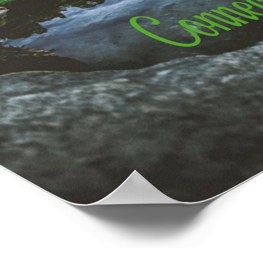 Connecticut Beutiful Lake Trees Poster (Ecke)