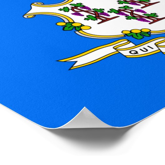 Connecticut-Flag Poster (Ecke)