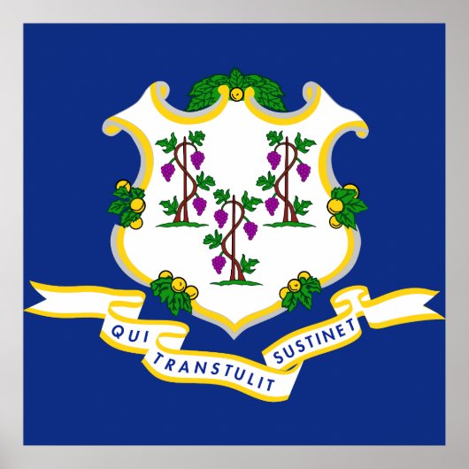 Connecticut-Flagge Poster (Vorne)
