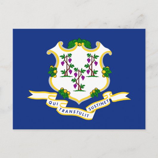 Connecticut-Flagge Postkarte (Vorderseite)