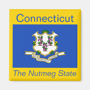 Connecticut-Flaggen-Magnet Magnet