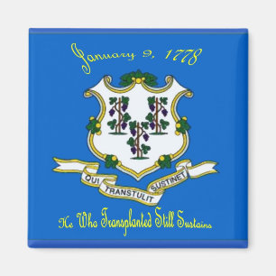Connecticut-Flaggen-Magnet Magnet