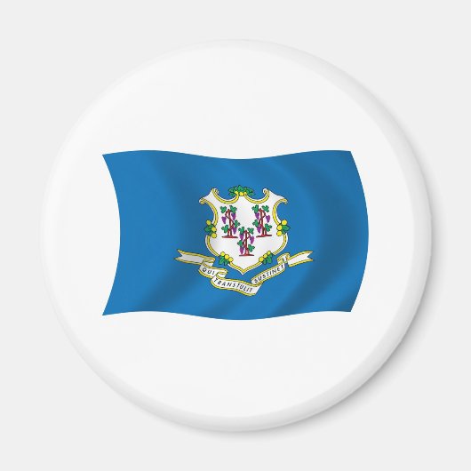 Connecticut-Flaggenmagnet Magnet (Vorne)