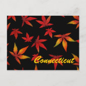 Connecticut Herbstleaves Postkarte (Vorderseite)