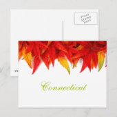 Connecticut Herbstleaves Postkarte (Vorne/Hinten)