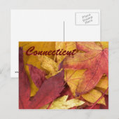 Connecticut Herbstleaves Postkarte (Vorne/Hinten)