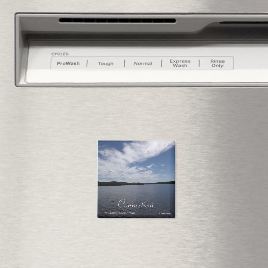 Connecticut Magnet (In Situ (Geschirrspüler))
