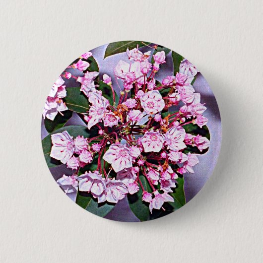 Connecticut Mountain Laurel Button (Vorderseite)