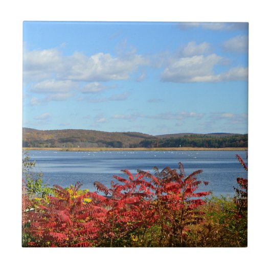 Connecticut River Tile Fliese (Vorderseite)