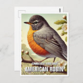 Connecticut Staat Bird American Robin Postkarte (Vorne/Hinten)