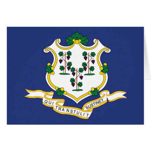 Connecticut Staatsflagge (Vorderseite (Horizontal))