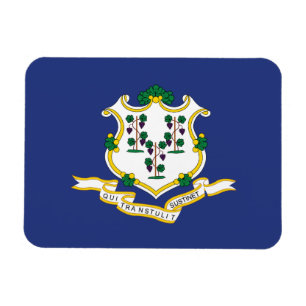Connecticut Staatsflagge Magnet
