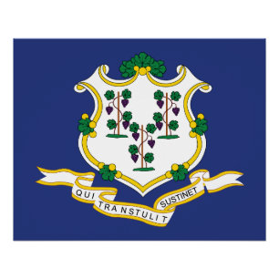 Connecticut Staatsflagge Poster