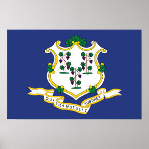 Connecticut Staatsflagge Poster