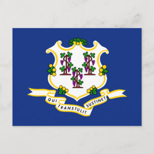 Connecticut Staatsflagge Postkarte