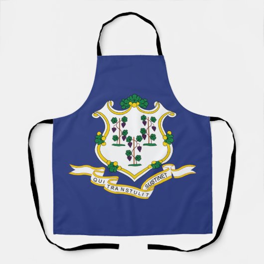 Connecticut Staatsflagge Schürze (Vorderseite)