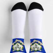 Connecticut-Staatsflagge Socken (Oben)