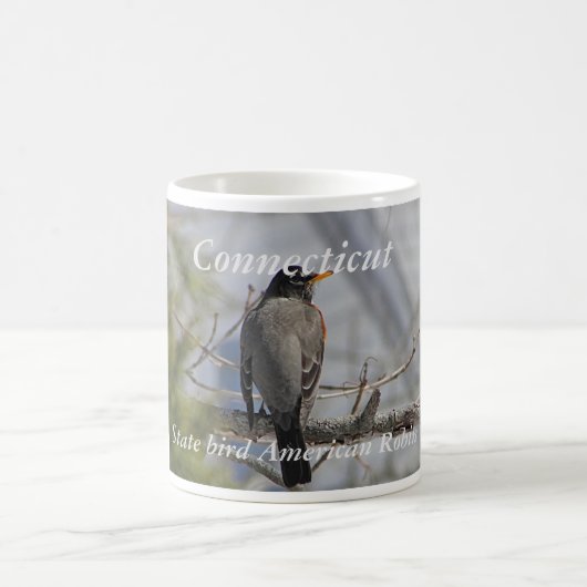 Connecticut-Staatsvogel-Foto-Tasse Kaffeetasse (Mittel)