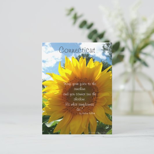 Connecticut Sunflower Postcard Postkarte (Stehend Vorderseite)