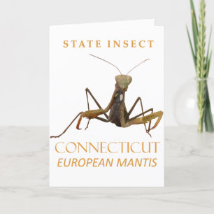 Connecticut-Territorium Insekt Die Europäische Got Feiertagskarte