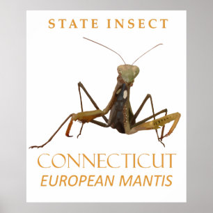 Connecticut-Territorium Insekt Die Europäische Got Poster