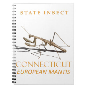 Connecticut-Territorium-Insekt Mantis religiosa Notizblock