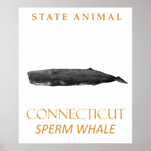 Connecticut-Territorium Tier Physeter macrocephalu Poster (Vorne)