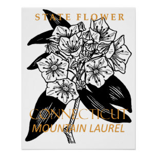 Connecticut-Territoriumsblume Berglorbeer Poster