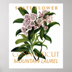 Connecticut-Territoriumsblume Kalmia Latifolia Poster