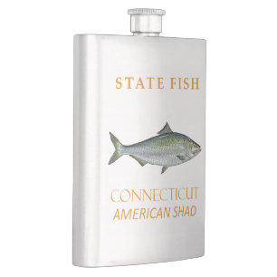 Connecticut Territory Fische den Amerikanischen Ma Flachmann