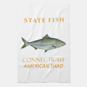 Connecticut Territory Fische Die Amerikanische Mai Geschirrtuch