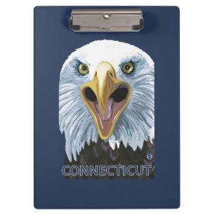 ConnecticutEagle herauf nahes Klemmbrett