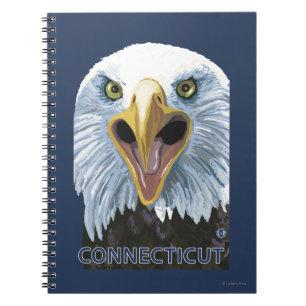 ConnecticutEagle herauf nahes Notizblock