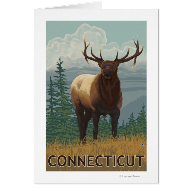 ConnecticutElk-Szene (Vorne)