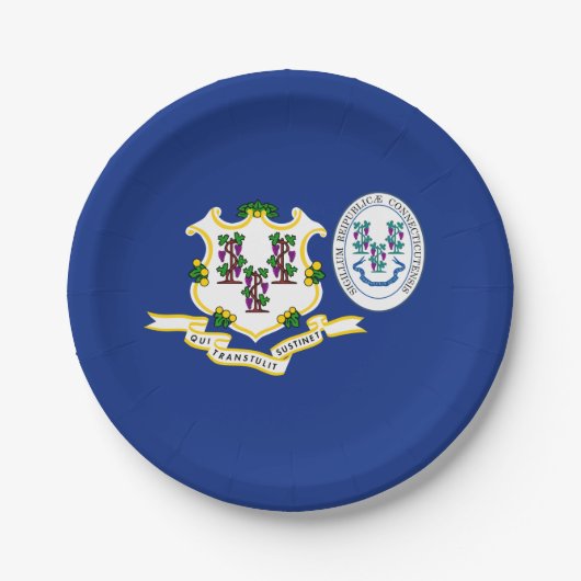Connecticuter Flag & Seal, Connecticut Pappteller (Vorderseite)