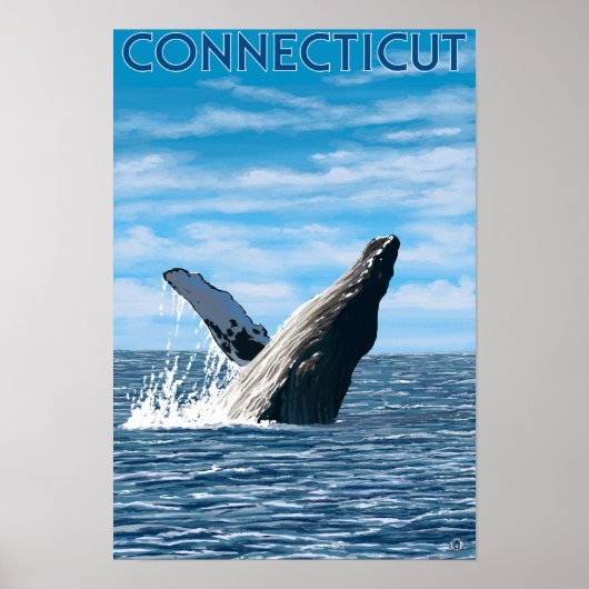 ConnecticutHumpback Whale Scene Poster (Vorne)
