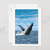 ConnecticutHumpback Whale Scene Postkarte (Vorne/Hinten)