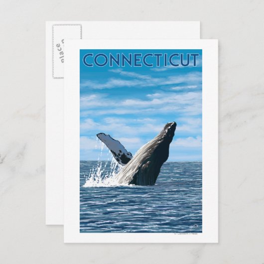 ConnecticutHumpback Whale Scene Postkarte (Vorne/Hinten)