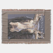 ConnecticutMoose herauf nahes Decke (Vorderseite)