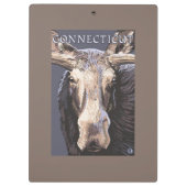 ConnecticutMoose herauf nahes Klemmbrett (Rückseite)