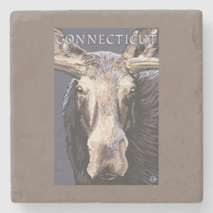 ConnecticutMoose herauf nahes Steinuntersetzer