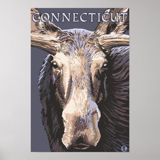 ConnecticutMoose Nah Poster (Vorne)