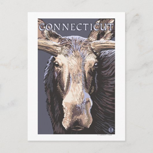 ConnecticutMoose Nah Postkarte (Vorderseite)