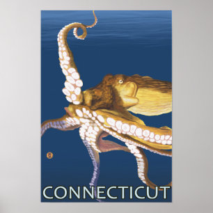 ConnecticutOctopus Szene Poster